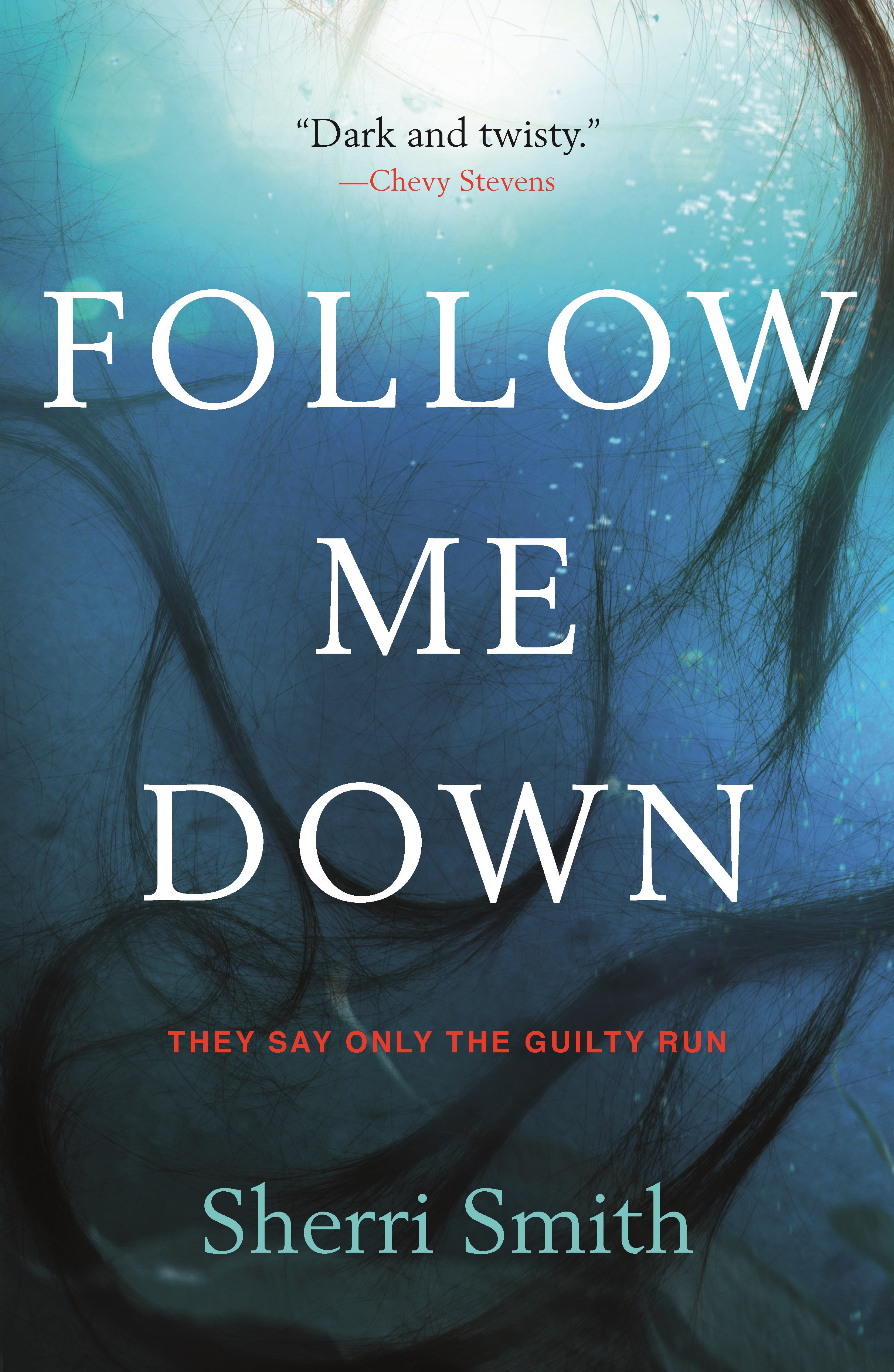 Follow Me Down : A Novel by Sherri Smith