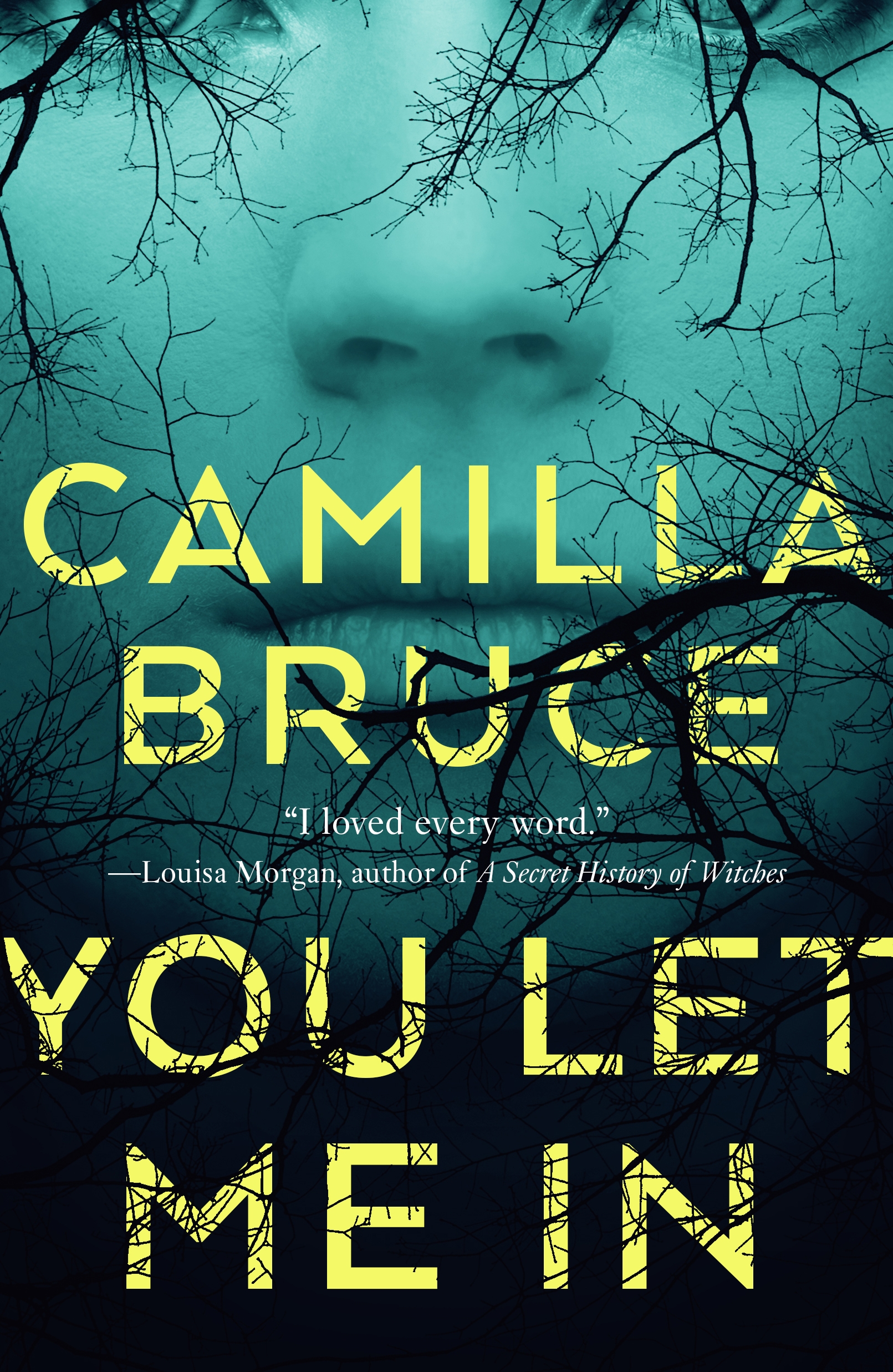 You Let Me In by Camilla Bruce