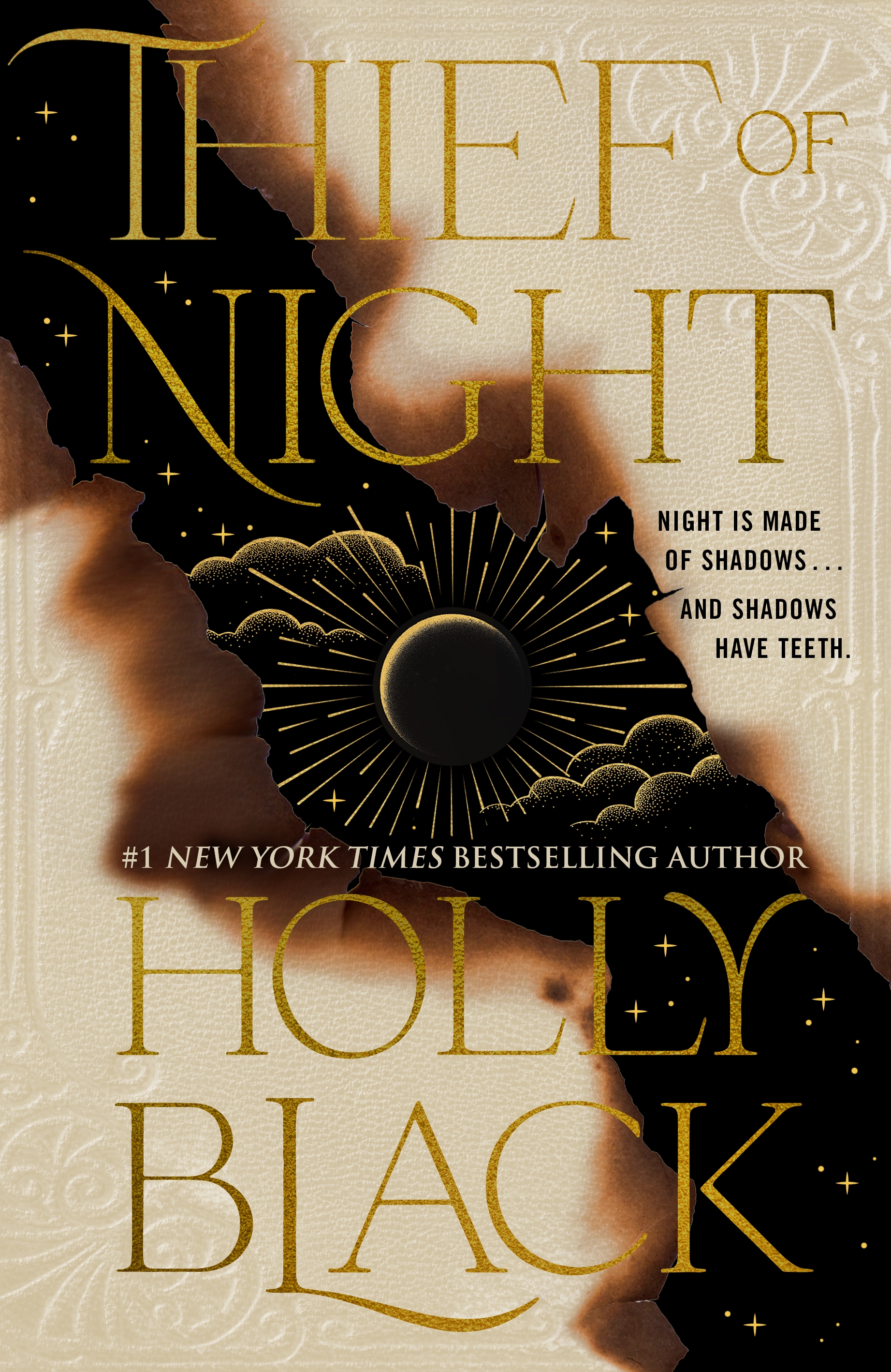 Thief of Night by Holly Black
