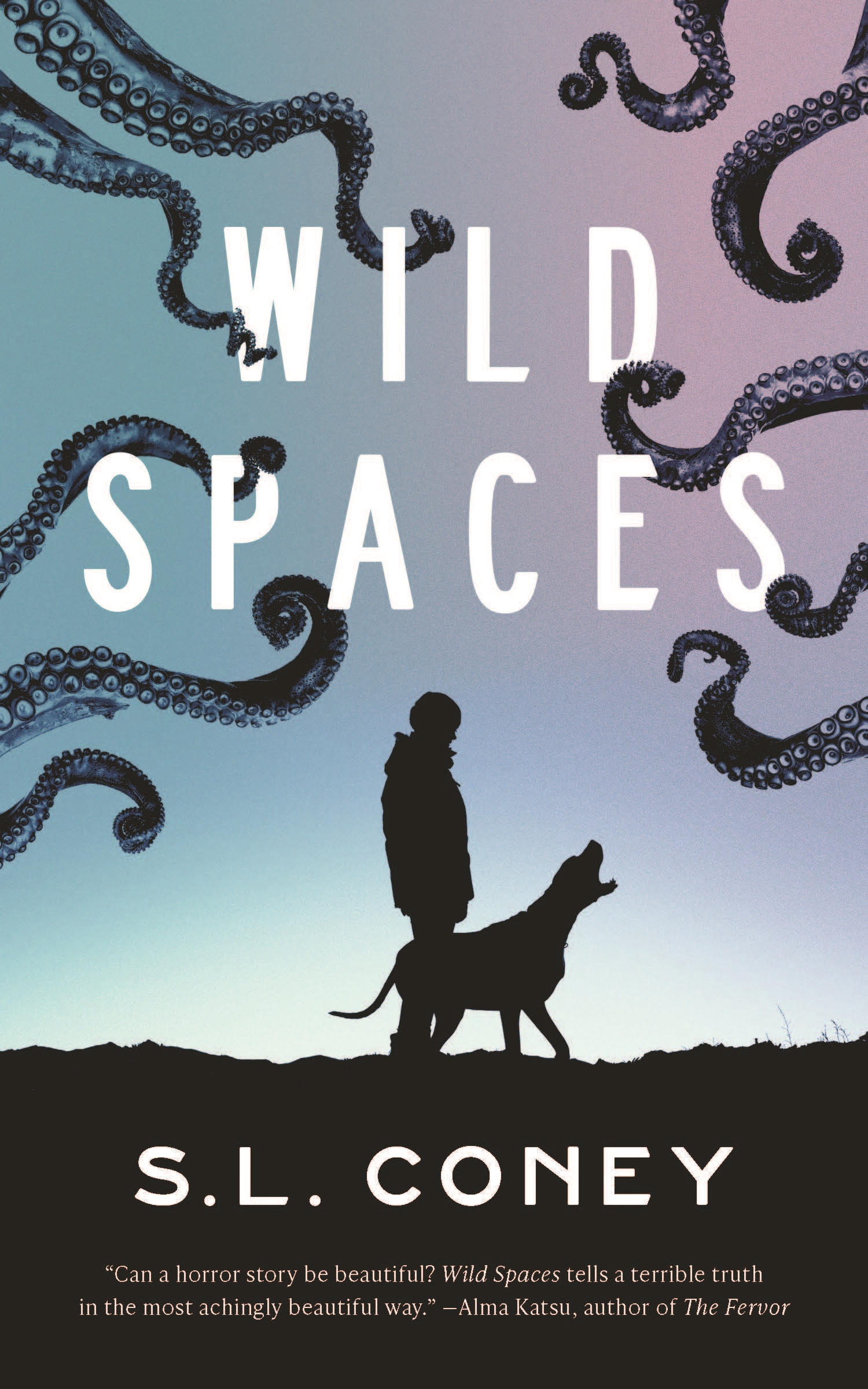 Wild Spaces by S. L. Coney