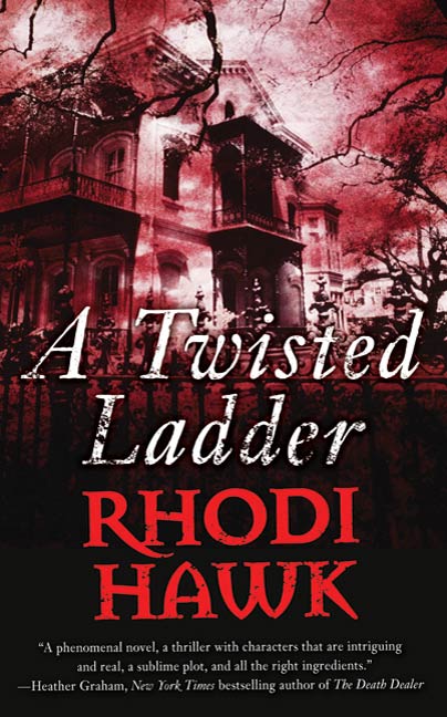 A Twisted Ladder by Rhodi Hawk