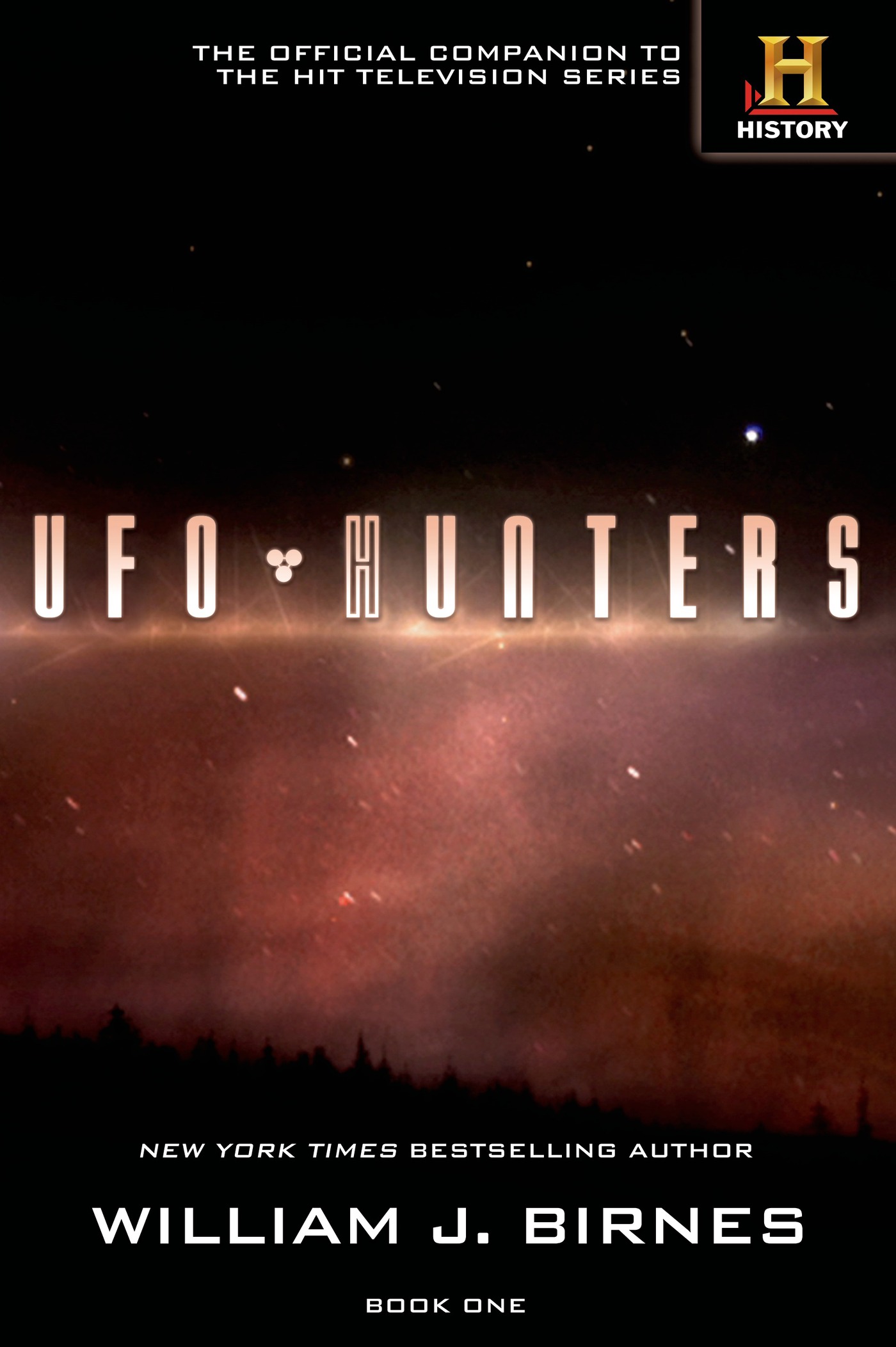 UFO Hunters : Book One by William J. Birnes