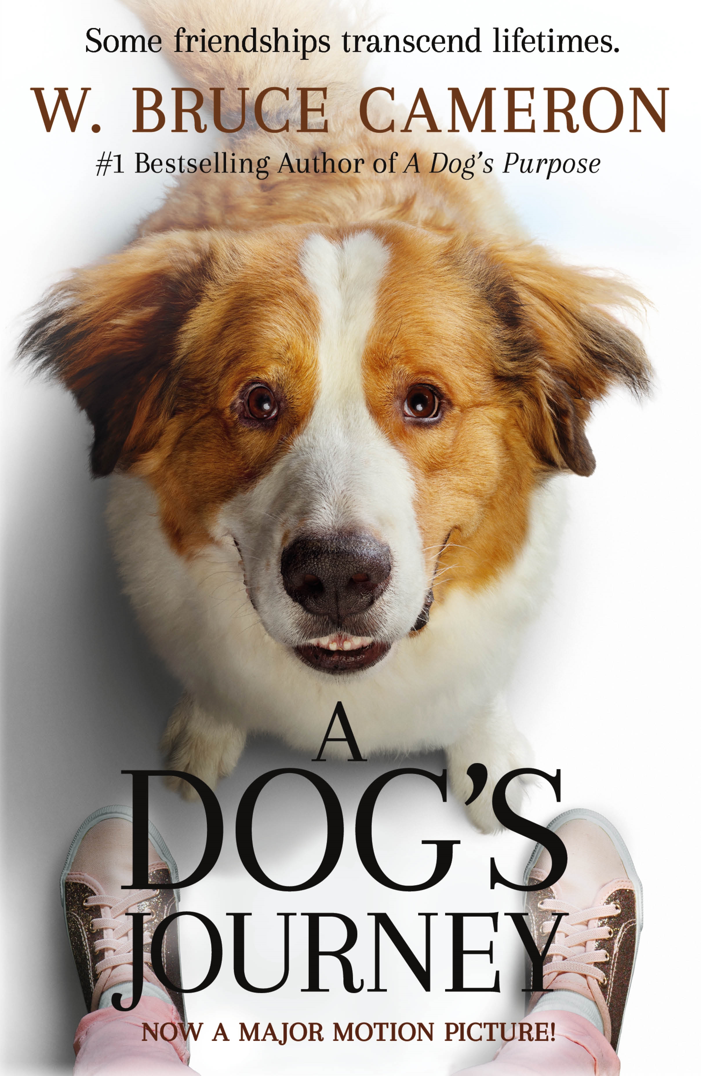 A Dog's Journey : A Novel by W. Bruce Cameron