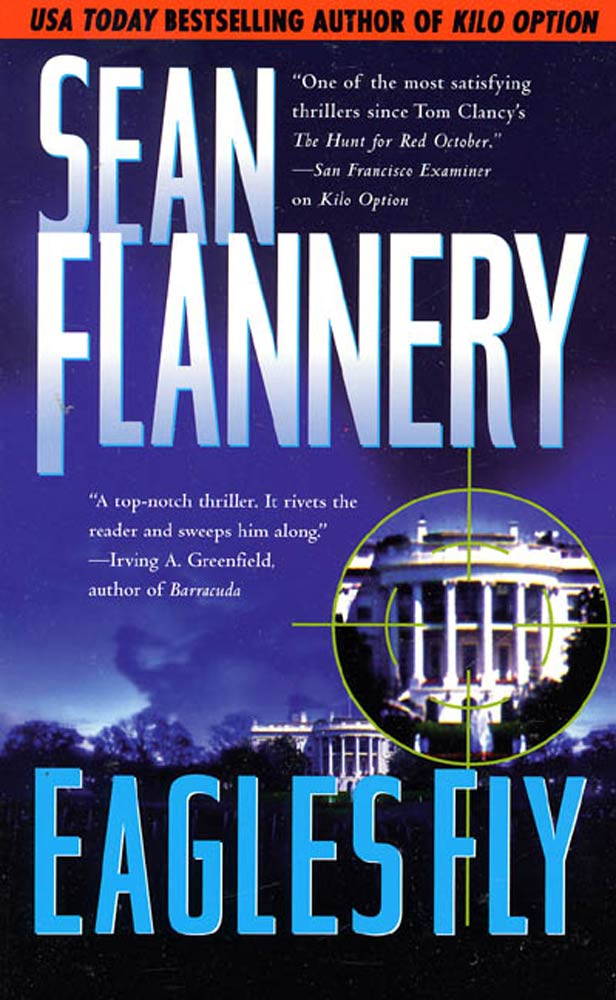 Eagles Fly by Sean Flannery