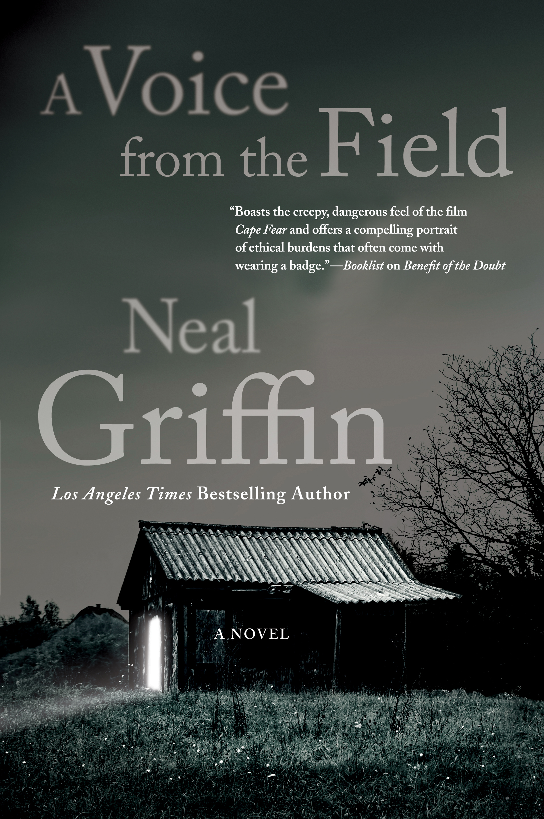 A Voice from the Field : A Newberg Novel by Neal Griffin
