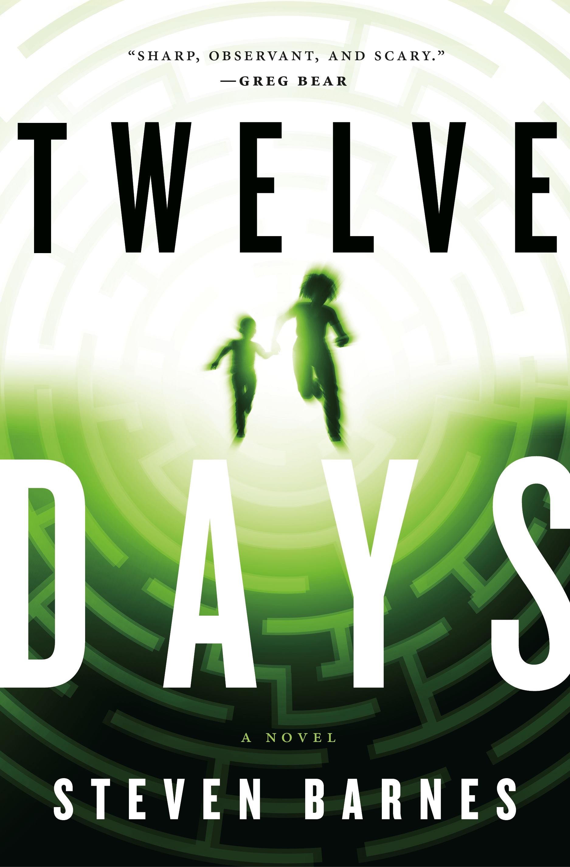 Twelve Days : A Novel by Steven Barnes