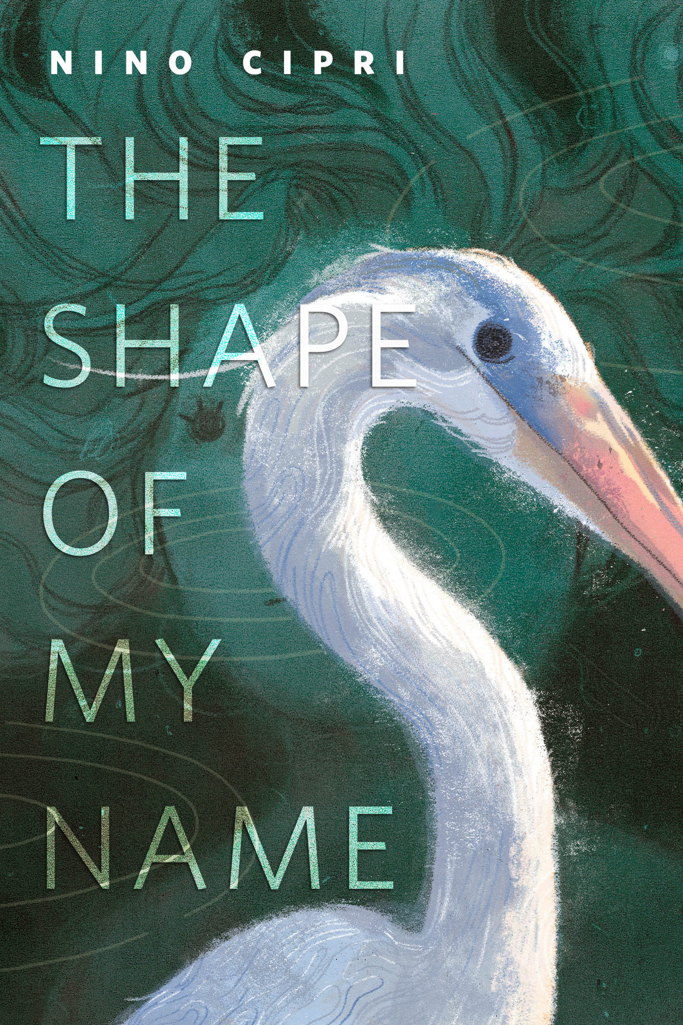 The Shape of My Name : A Tor.Com Original by Nino Cipri