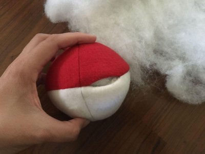 pokemon (10)