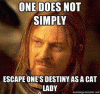 post-23707-0-52634600-1346884741_thumb.gif