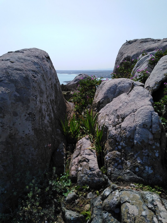 image.thumb.png.55daf350620f6aadb4e3df87c375a639.png