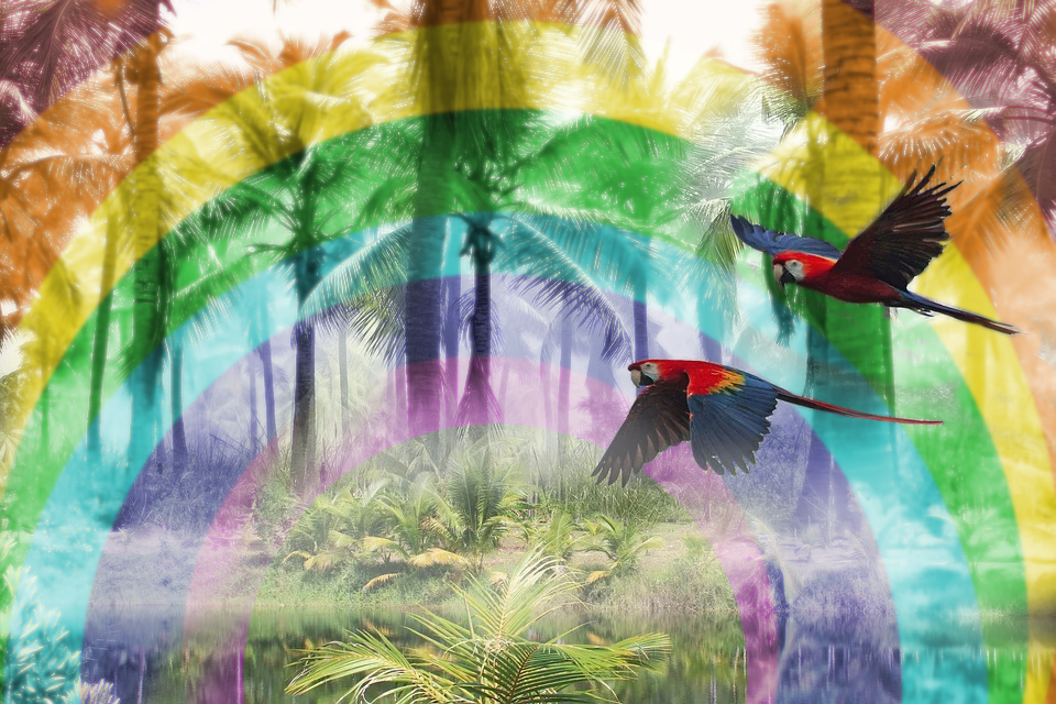 parrot2.png.0182cd9072b8df3aa15bf7a3cf85a93f.png