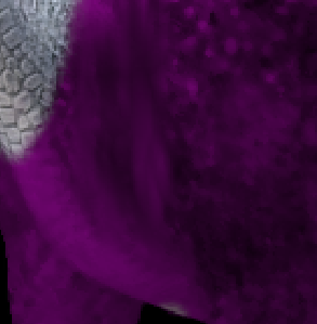 image.png.76b229211c0e355fe1ff40bac0fa3a9d.png