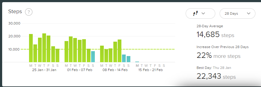 fitbit.png.1753e882971c182a64338ada47200f6a.png